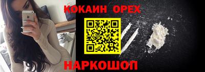 крисы Краснодар