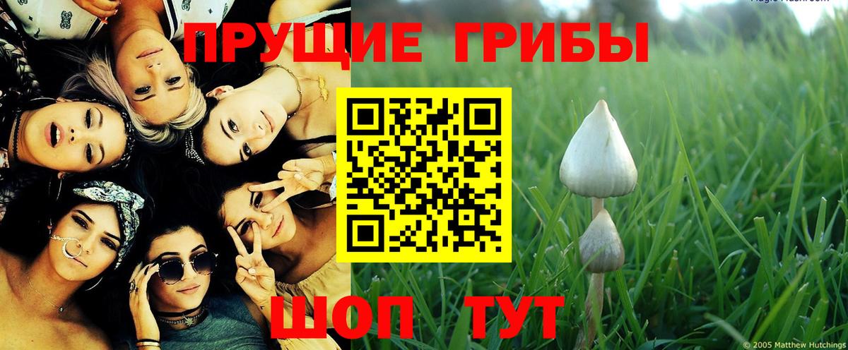 Галлюциногенные грибы прущие грибы Урай